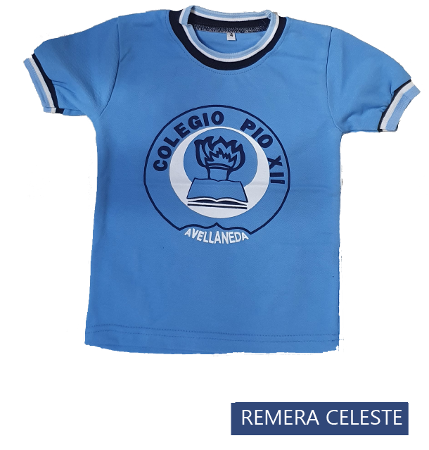 Remera celeste